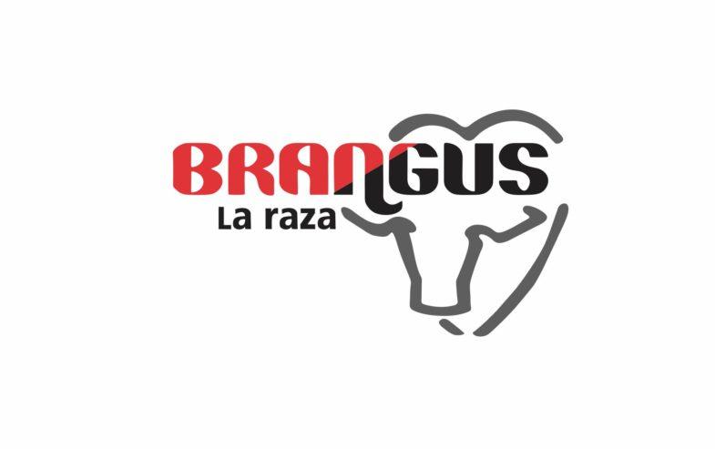 Brangus Logo - Index Of Wp Content Uploads 2019 01