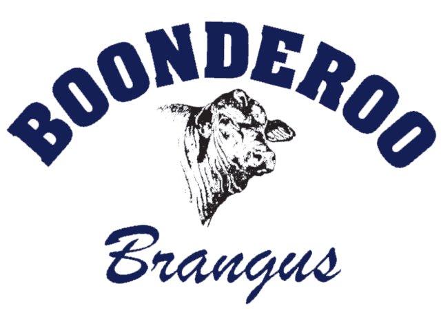 Brangus Logo - History - Boonderoo Brangus