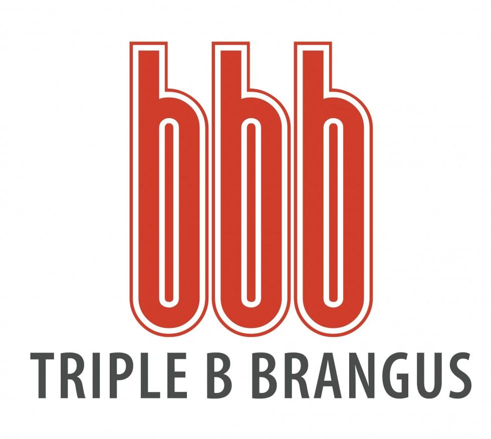 Brangus Logo - Triple B Brangus Logo. Rural Design Studio