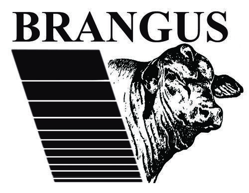 Brangus Logo - Australian Brangus