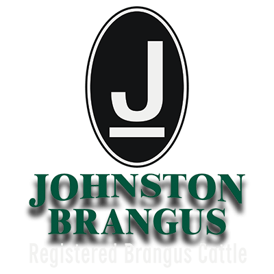 Brangus Logo - Johnston Brangus