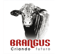 Brangus Logo - Inglés