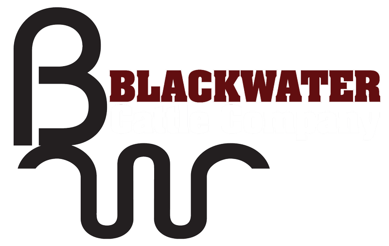 Brangus Logo - Home - Blackwater Cattle Company - Lake Park, Georgia