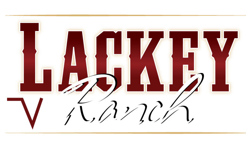 Brangus Logo - Home - Lackey Ranch - Brangus and Santa Gertrudis Cattle