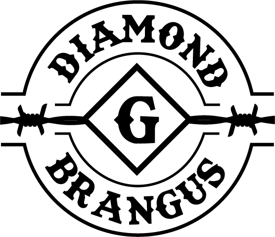 Brangus Logo - DIAMOND G BRANGUS – Registered Brangus Bulls and Replacement Heifers