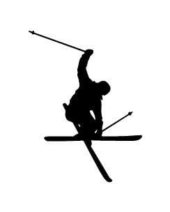 Skier Logo - SignMAX.us logo: Ski