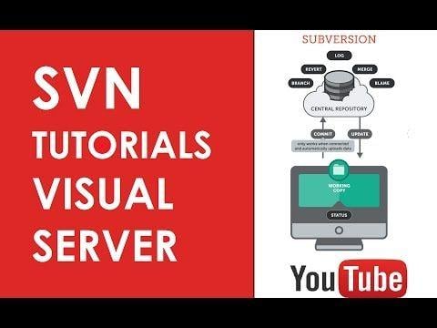 VisualServer Logo - How To Install Visual Server SVN