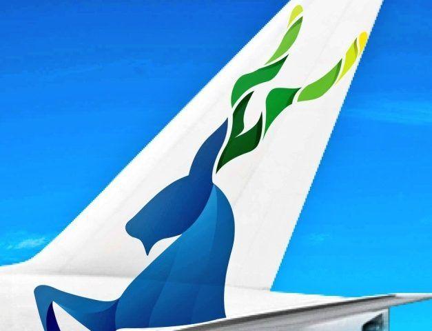 Pia Logo - New PIA logo becomes topic of discussion- Samaa Digital