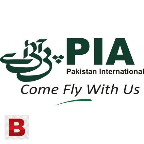 Pia Logo - PIA Logo sticker, waterproof, white background - Karachi