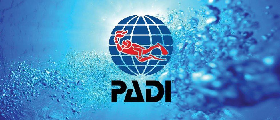 Padi Logo - PADI Instructor Update: PADI Digital Products - IDC Bali Internships