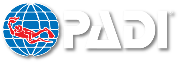 Padi Logo - PADI Diving Course & Snorkeling Team Sardegna