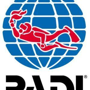 Padi Logo - LogoDix