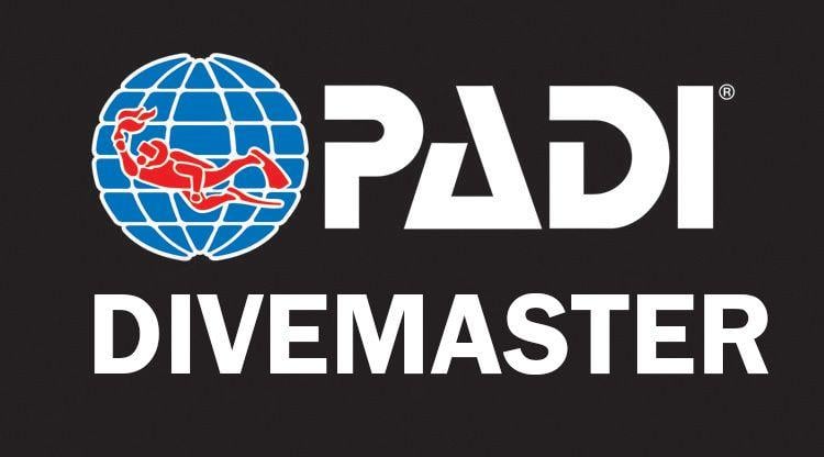 Padi Logo - GOING PRO: How to become a PADI Divemaster - IDC Bali Internships