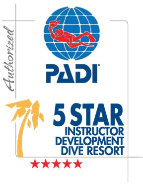 Padi Logo - Neptune Padi Logo 288x374 Scuba Diving