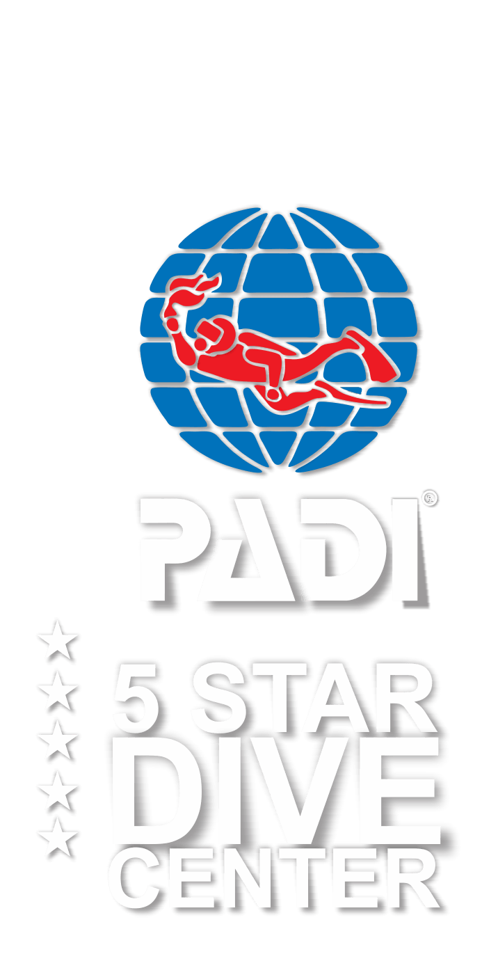 Padi Logo - South Ari Dive Center - Maldives