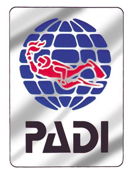 Padi Logo - Decal Logo, Metallic