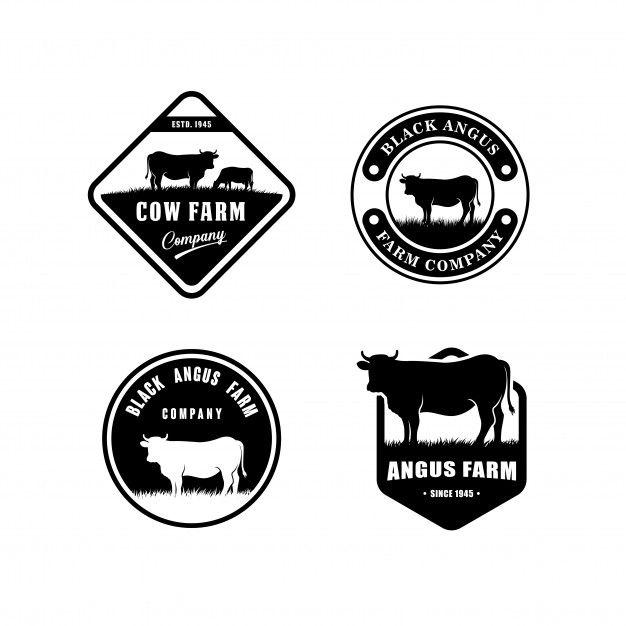 Angus Logo - Black angus logo design template. cow farm logo design Vector ...