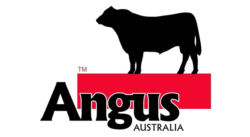 Angus Logo - Logo Design: Angus Australia | Alternative Concepts