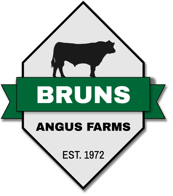 Angus Logo - Bruns Angus Farms. Bruns Angus FarmsBruns Angus Farms. Bruns Angus