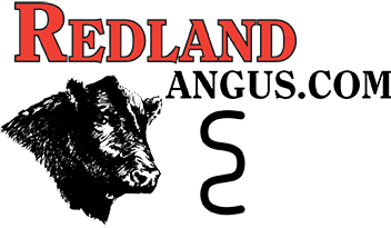 Angus Logo - Home - Redland Angus - Range Calved - Range Raised®