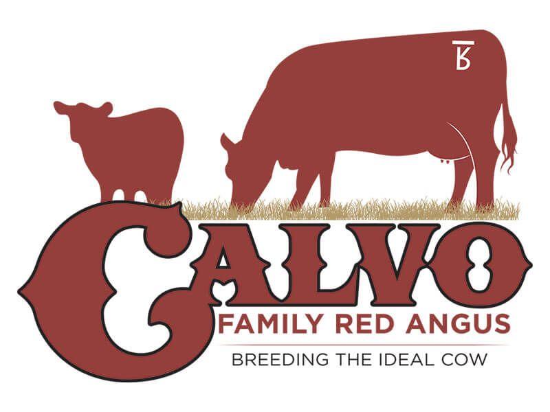 Angus Logo - Red Angus Logo Design - Ranch House Designs - Calvo Red Angus