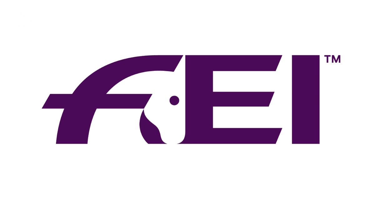 Fei Logo - Branding