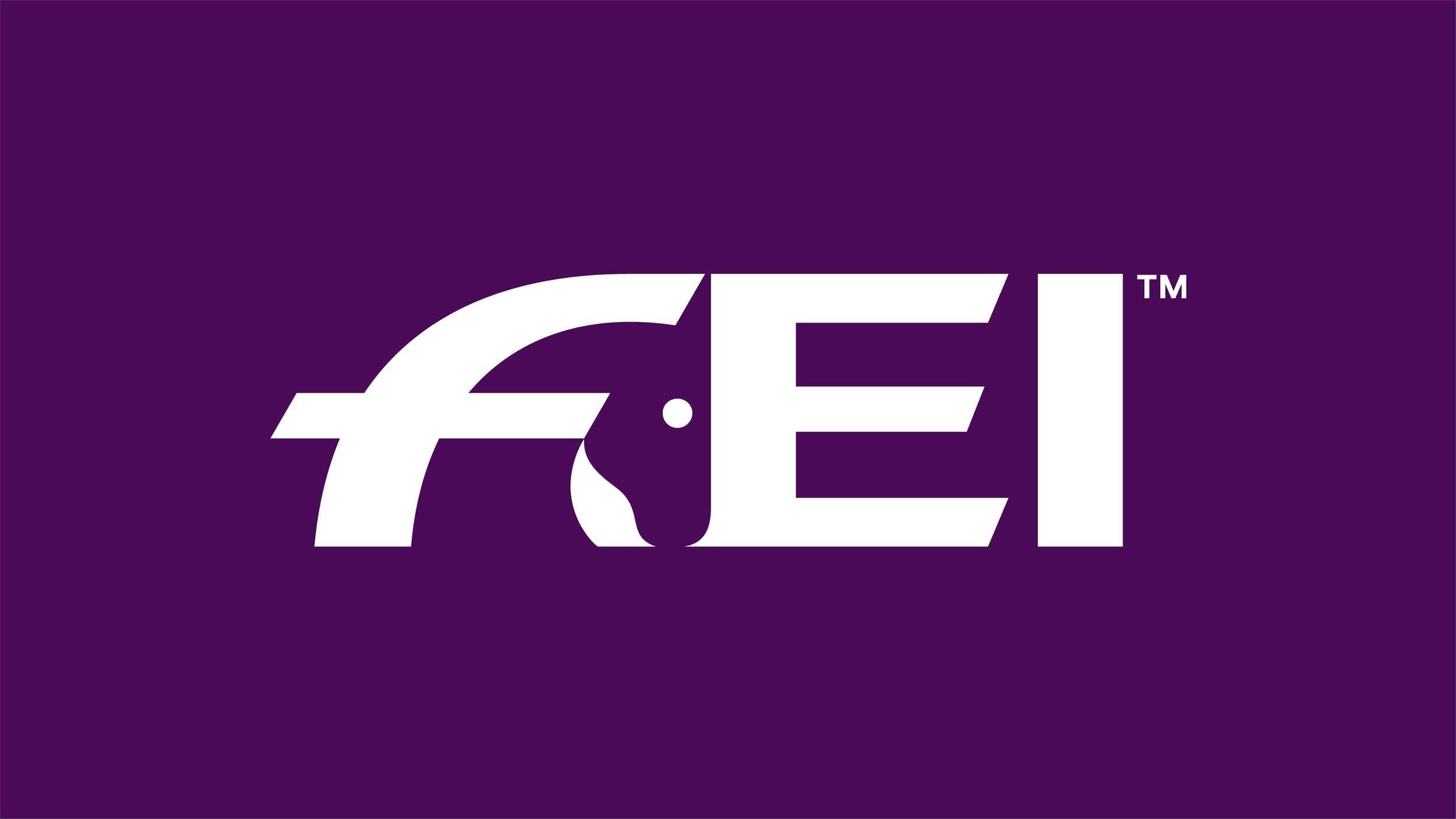 Fei Logo - FEI / Branding - Julien Queyrane