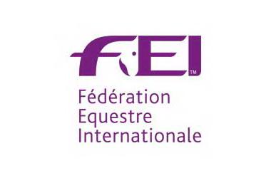 Fei Logo - fei-logo for fei website uploads_14 - Parlanti International