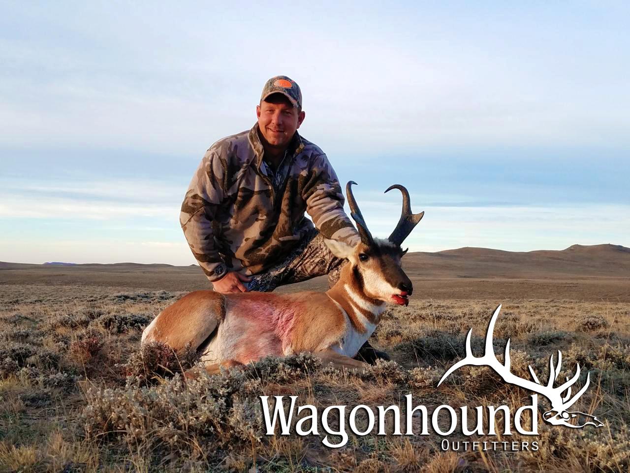 Wagonhound Logo - Elk, Deer, Bear & Antelope Hunting Outfitters In Wyoming ...