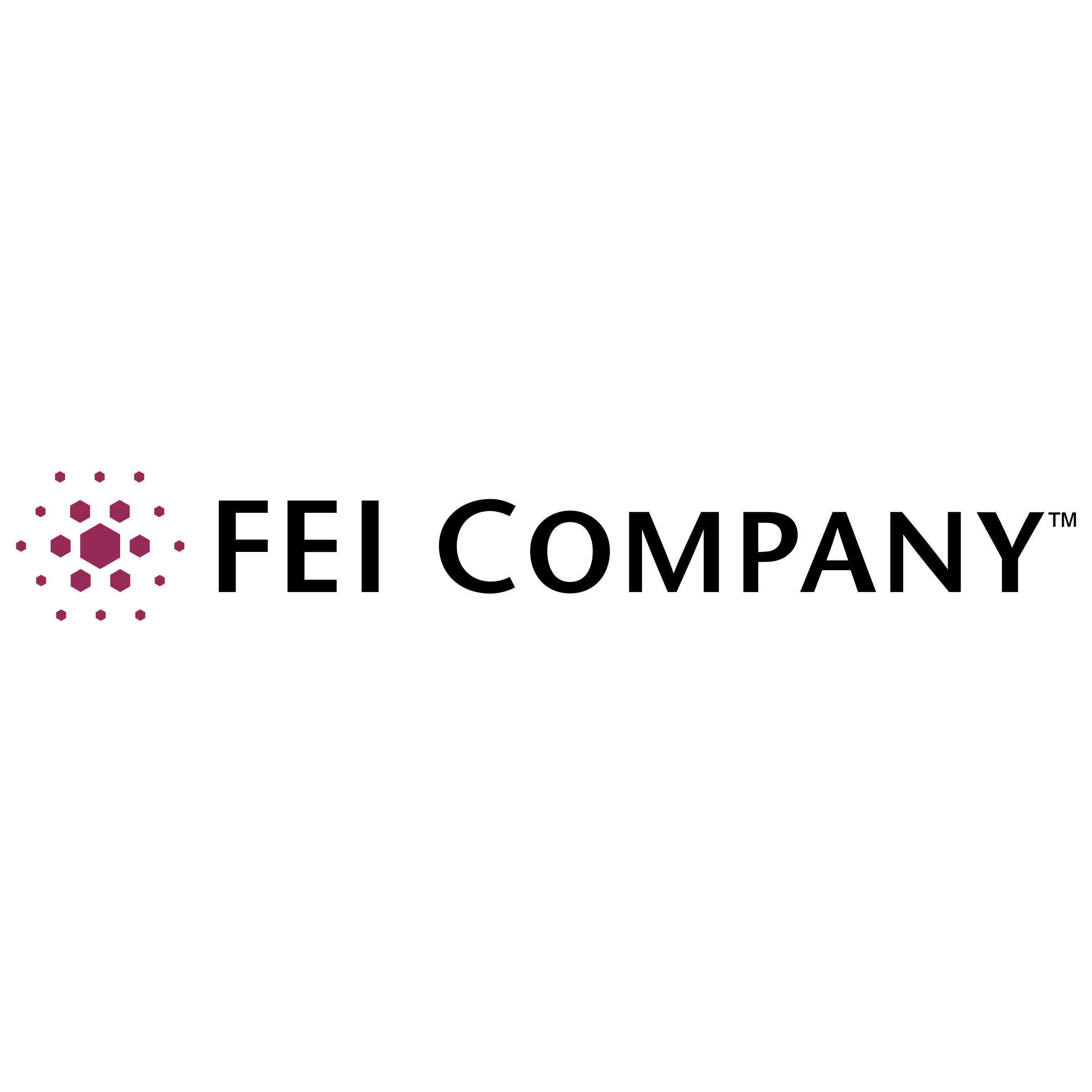 Fei Logo - FEI Company Logo PNG Transparent & SVG Vector