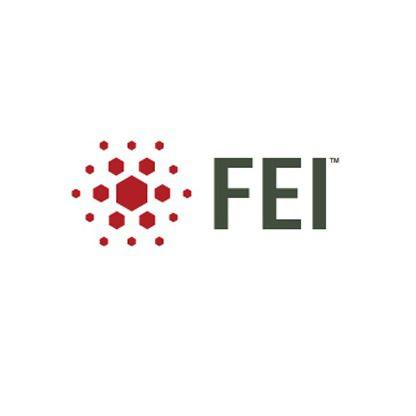 Fei Logo - FEI on the Forbes America's Best Small Companies List