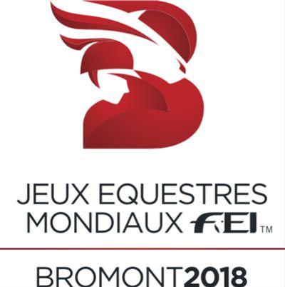Fei Logo - 2018 FEI World Equestrian Games logo revealed | An Eventful Life
