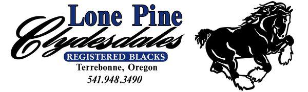 Clydesdale Logo - Lone Pine Clydesdales