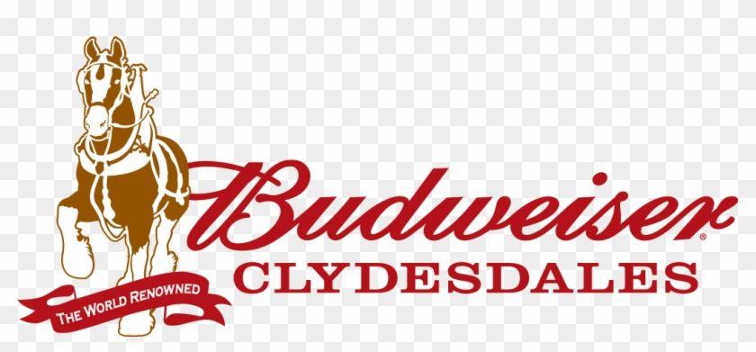 Clydesdale Logo - Budweiser Clydesdale Logo, HD Png Download - 1051x440(#3537089 ...
