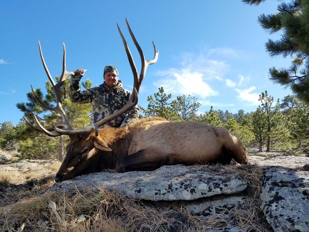 Wagonhound Logo - Wagonhound Outfitters, Wyoming Elk Hunts