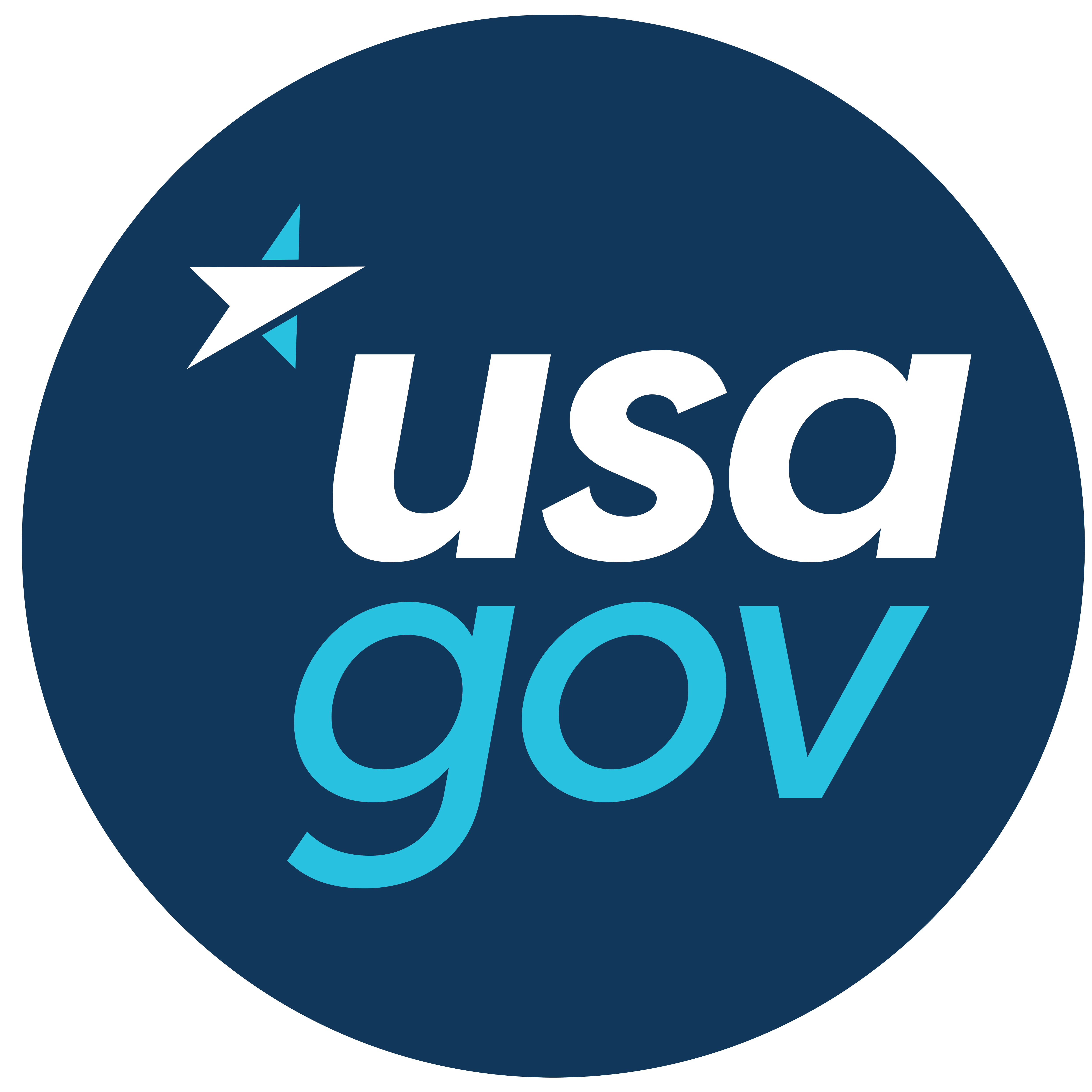 Usa.gov Logo - Linking to USA.gov | USAGov