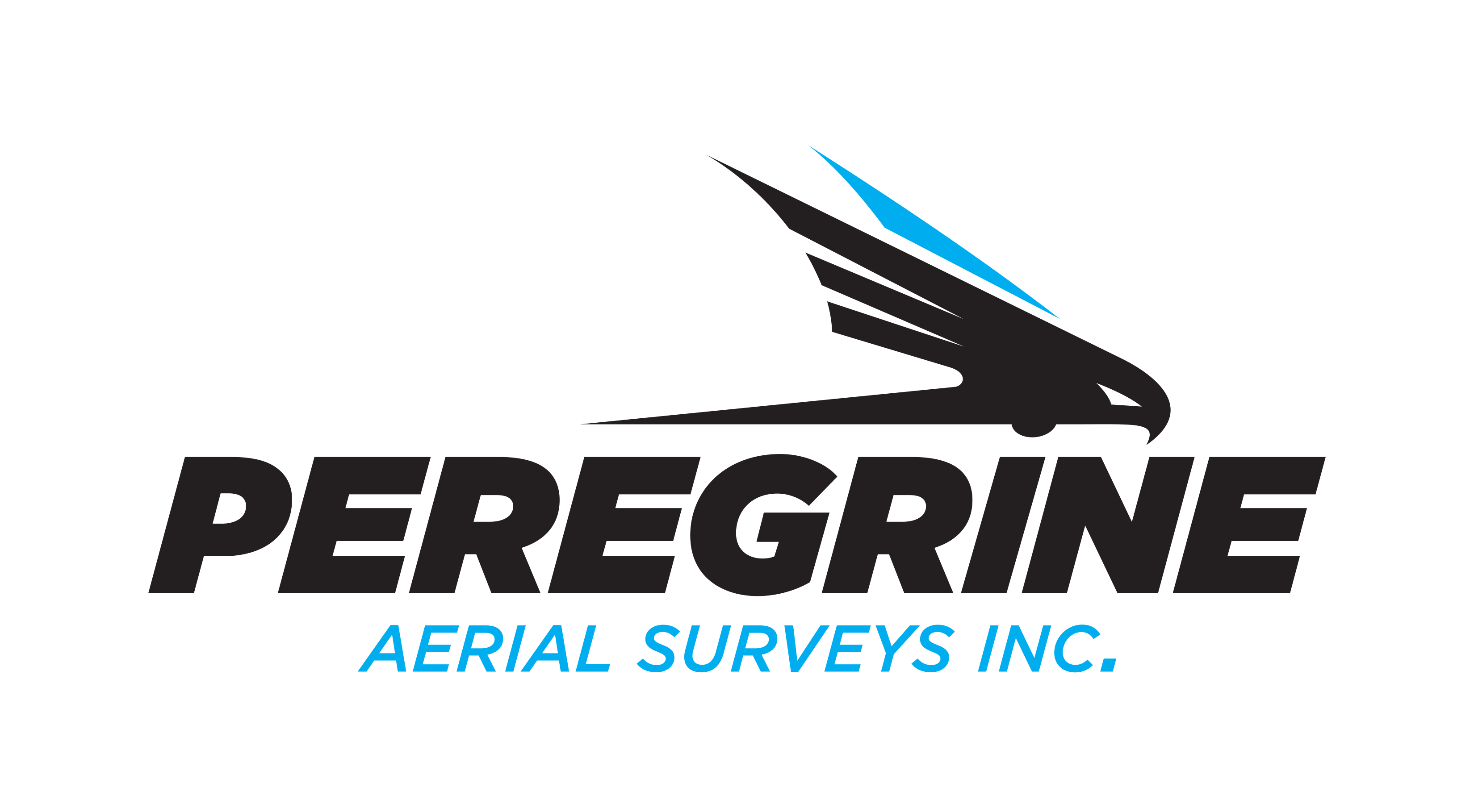 Peregrine Logo - Peregrine Aerial Surveys. Digital Mapping Services