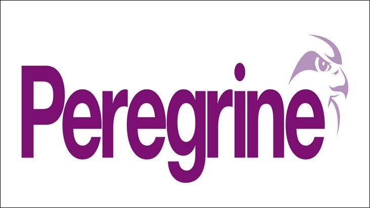 Peregrine Logo - Tenon Group undergoes a logo change
