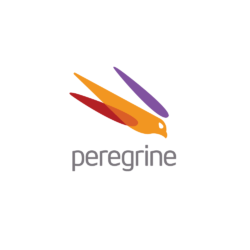 Peregrine Logo - SOLD: Peregrine Falcon Logo Design