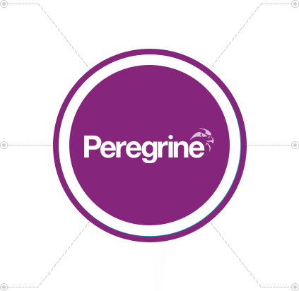 Peregrine Logo - Integrated Security Systems-Security Consulting Services