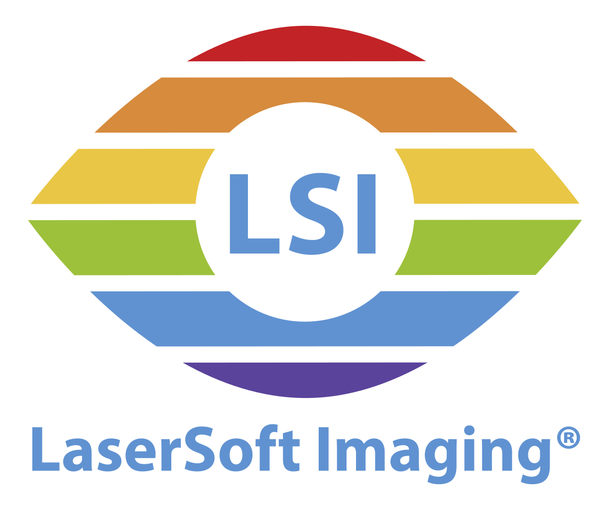 LSI Logo - LSI Logo.svg