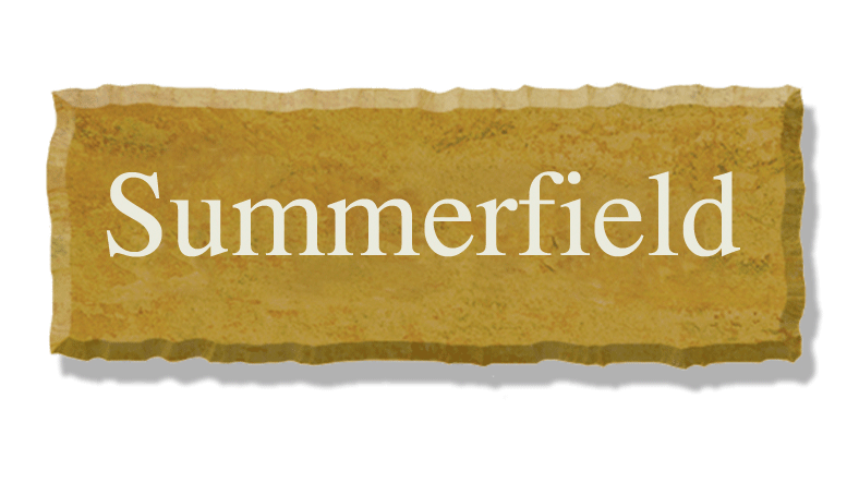 Summerfield Logo - Community Development Group | Summerfield