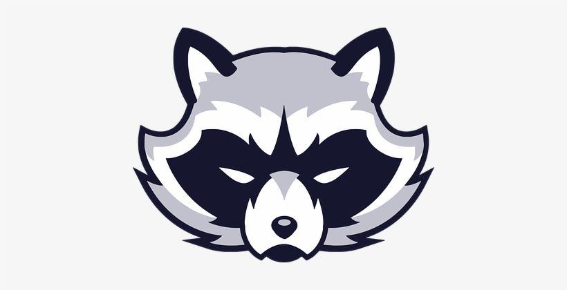 Racoon Logo - Animal Face Logo Raccoon Vicious Wild Logo Vector