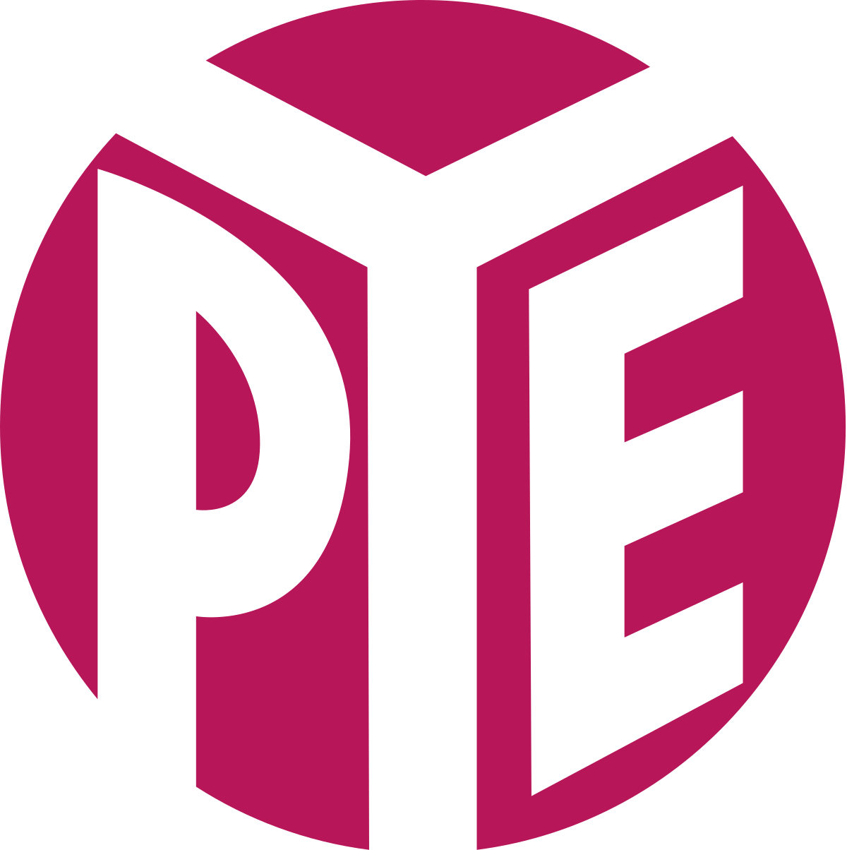 LTD Logo - Pye Ltd