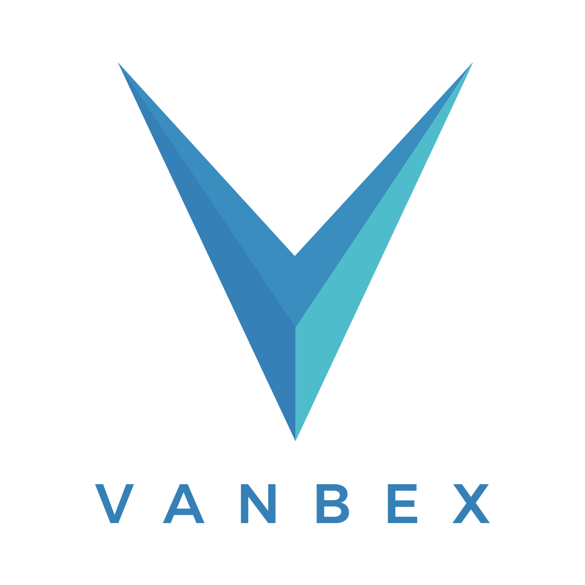 Golang Logo - The Vanbex Group Engineer (Golang)