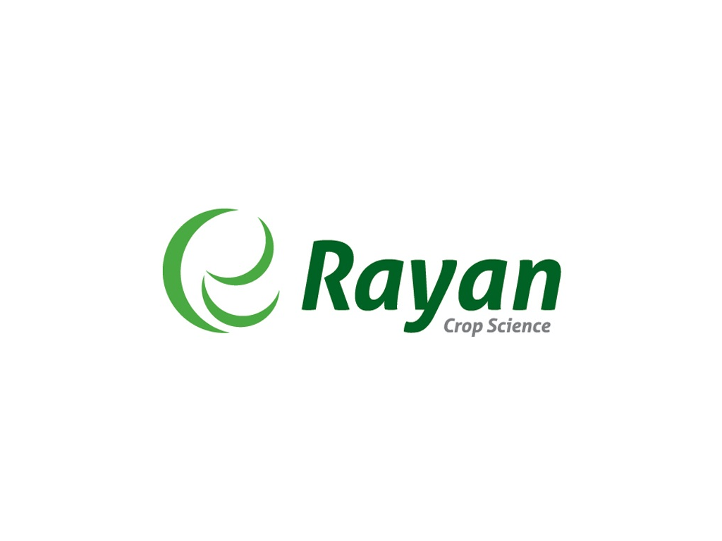 Rayan Logo - Parix Blogger Template