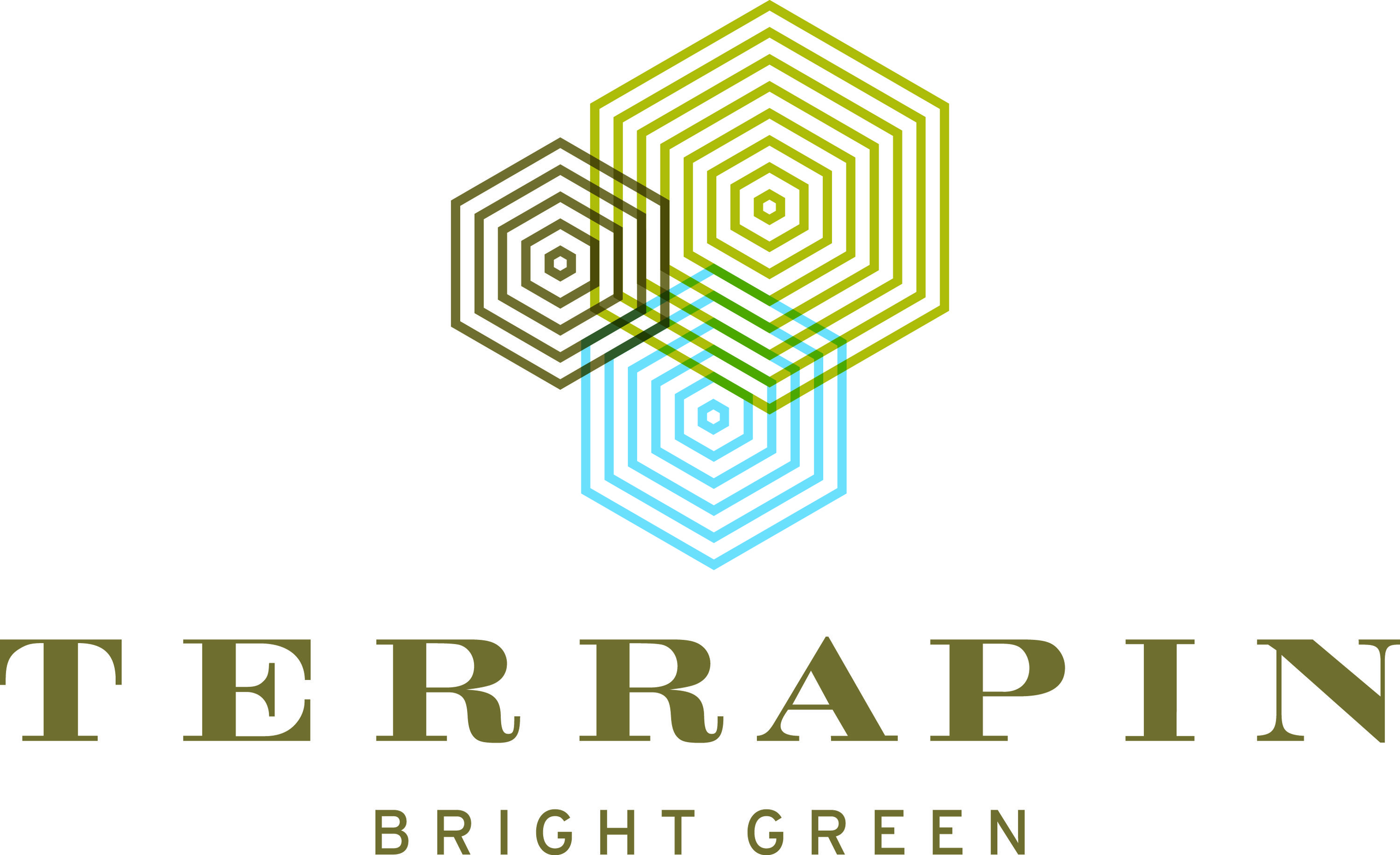 Terrapin Logo - Terrapin Home Bright Green