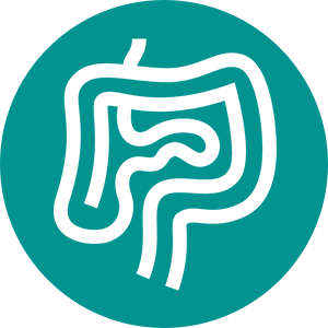 Gastroenterologist Logo - Gastroenterology - Community Memorial Hospital