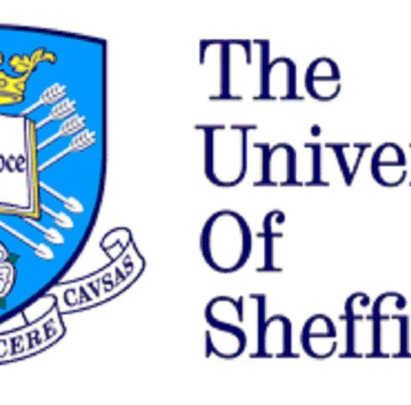 Sheffield Logo - University of Sheffield | Study Experience