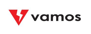 Vamos Logo - VAMOS Men Socks - CURSE (PINK)